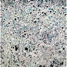 Le jardin de givre, de l'artiste Elyse Turbide, Acrylique sur toile, Dimension : Dimension : 24 x 24 pouces de largeur