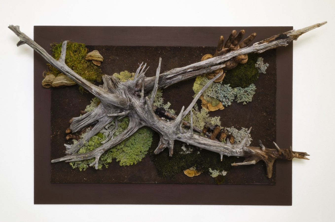 Entre les fibres du monde, de l'artiste Raphaëlle Bitar, Sculpture, Plâtre et végétaux divers, dimension : 35 x 24 x 6 pouces