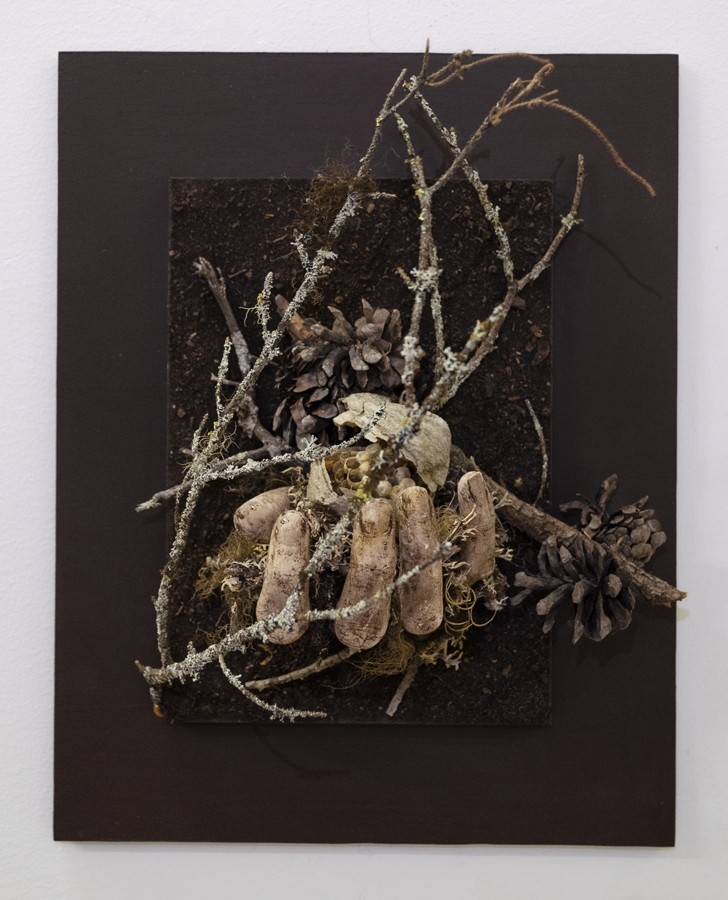 Vestige du vivant, de l'artiste Raphaëlle Bitar, Sculpture, Plâtre et végétaux divers, dimension : 14 x 11 pouces