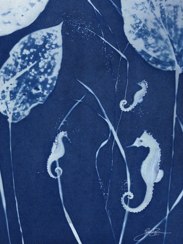En eau tranquille, de l'artiste Sophie Rozenn Boucher, Medium Cyanotype et aquarelle sur papier de coton, marouflé sur bois, Création unique, Format de l'oeuvre : 12 x 9 pouces de largeur