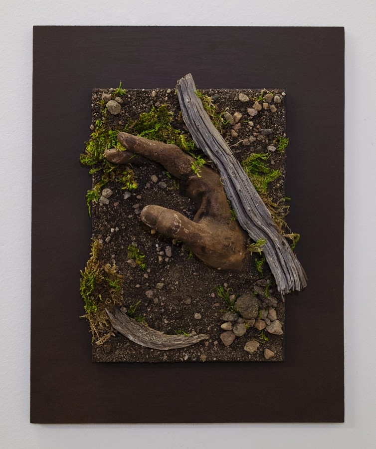 Sous la peau du vivant, de l'artiste Raphaëlle Bitar, Sculpture, Plâtre et végétaux divers, dimension : 14 x 11 pouces