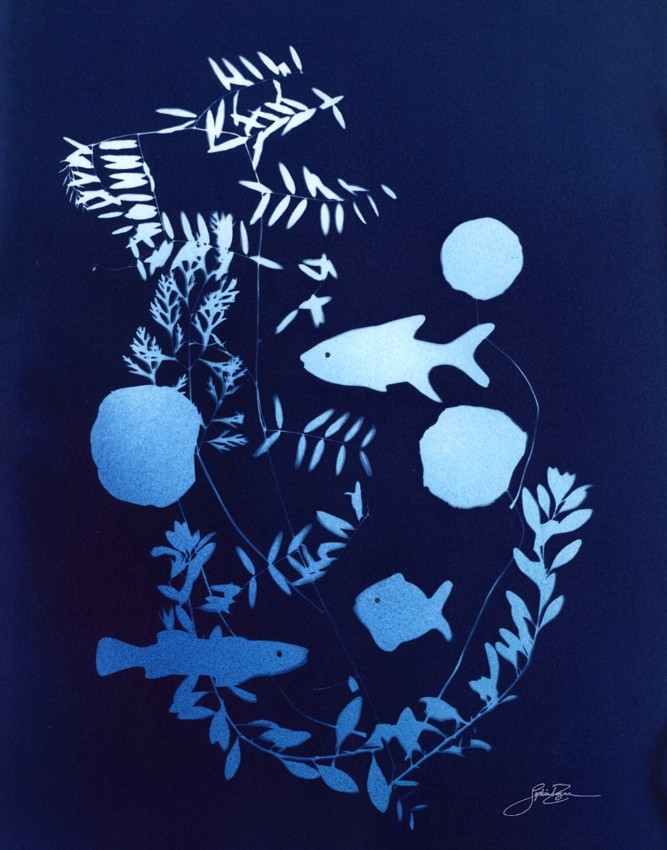 Un monde caché, de l'artiste Sophie Rozenn Boucher, Medium Cyanotype et aquarelle sur papier de coton, marouflé sur bois, Création unique, Format de l'oeuvre : 14 x 11 pouces de largeur