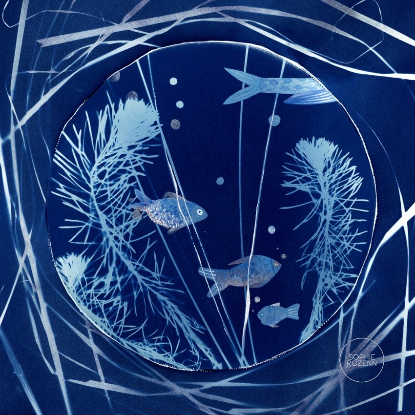 Derrière le hublot, de l'artiste Sophie Rozenn Boucher, Medium Cyanotype et aquarelle sur papier de coton, marouflé sur bois, Création unique, Format de l'oeuvre : 10 x 10 pouces de largeur
