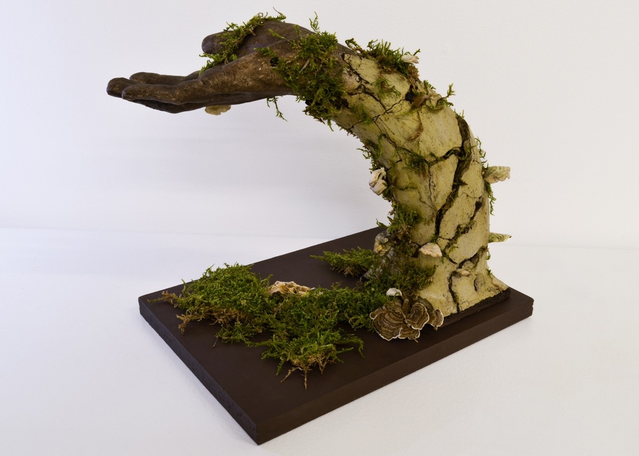 Offrande, de l'artiste Raphaëlle Bitar, Sculpture, Argile, Plâtre et végétaux divers, dimension : 11 x 10 x 8 pouces