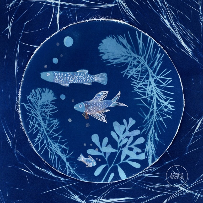 Fenêtre sur l'océan, de l'artiste Sophie Rozenn Boucher, Medium Cyanotype et aquarelle sur papier de coton, marouflé sur bois, Création unique, Format de l'oeuvre : 10 x 10 pouces de largeur