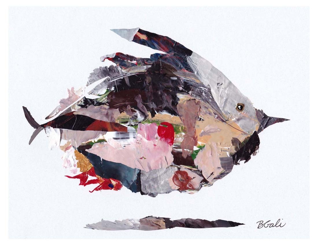 1-Carte de souhaits 4x5, -- Carpe Diem (poisson) --, de l'artiste Brigitte Galipeau BGALI, dimension : 4.25 x 5.5 pouces largeur, sans texte, avec enveloppe  Vous pouvez inscrire votre message à l'intérieur.  Carte vendue à l'unité