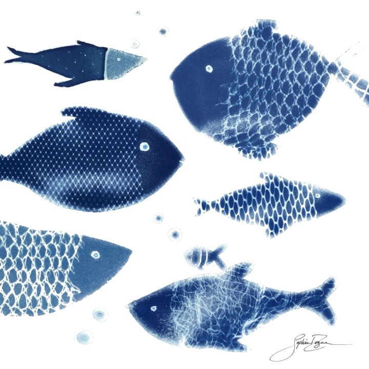 Carte de souhaits 5x5, -- Filet de poisson --, de l'artiste Sophie Rozenn Boucher, dimension : 5 x 5 pouces largeur, sans texte, avec enveloppe  Vous pouvez inscrire votre message à l'intérieur.  Carte vendue à l'unité