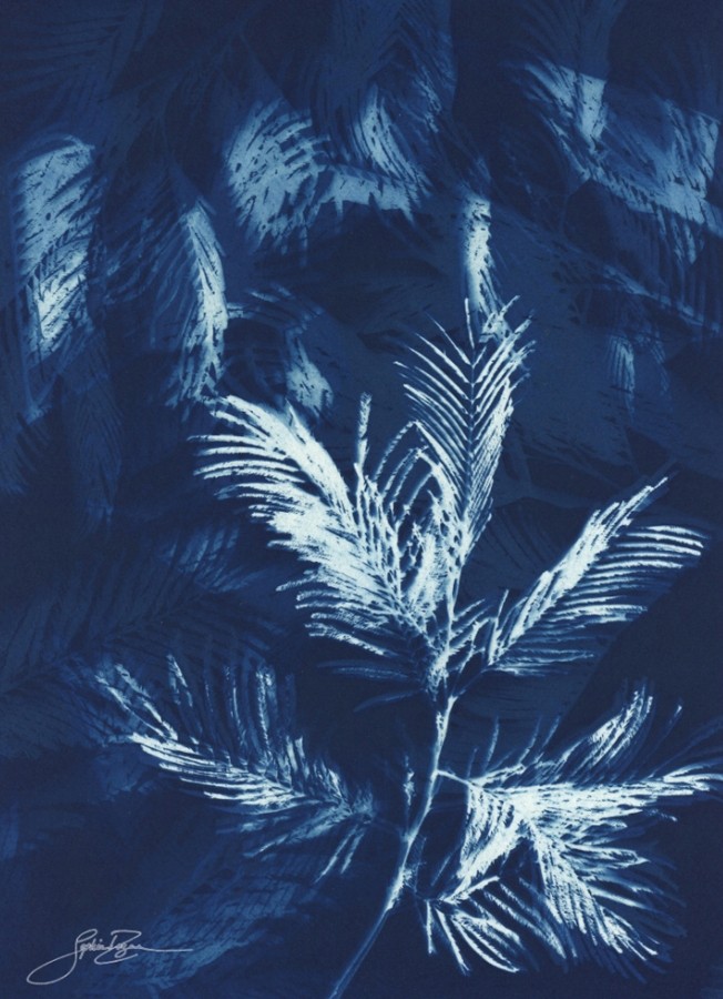 Tissage éphémère 2 (Série Mimosa) (t.encadré), de l'artiste Sophie Rozenn Boucher, Medium Cyanotype sur papier aquarelle, Cadre blanc, moulure et passe-partout, Création unique, Format de l'oeuvre : 12 x 9 pouces de largeur
