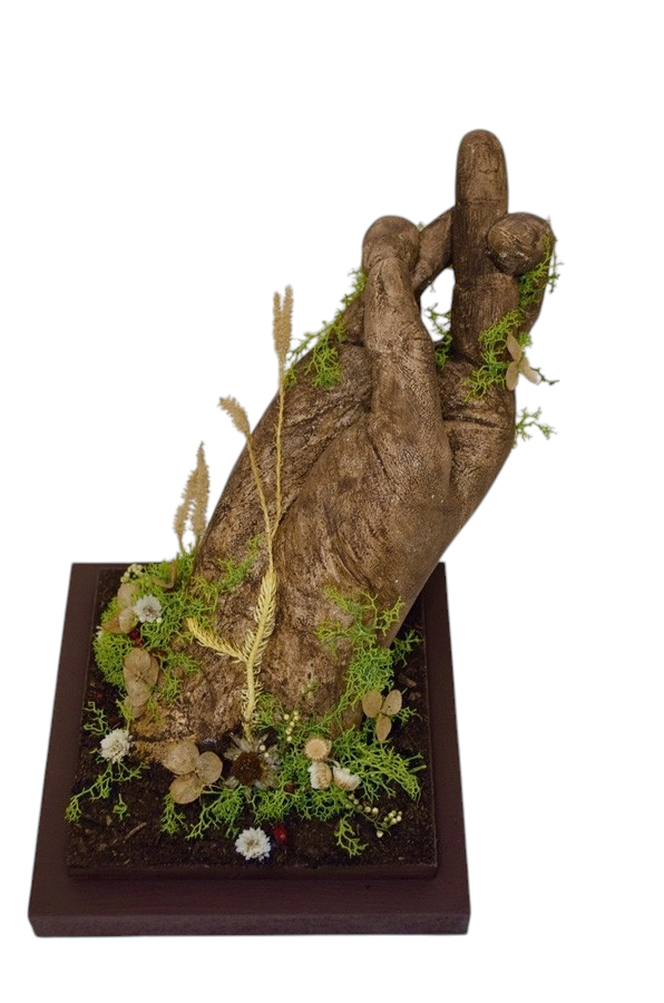 Émergence, de l'artiste Raphaëlle Bitar, Sculpture, Plâtre et végétaux divers, dimension : 8 x 6 x 7 pouces