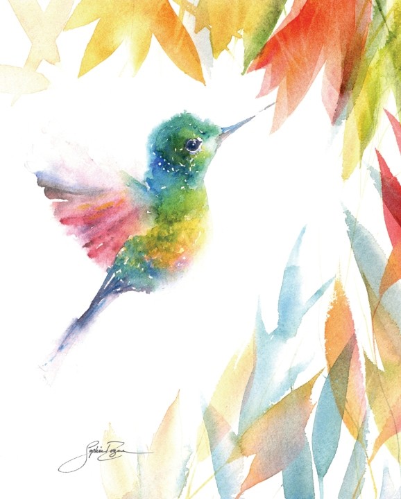 Affiche, --- Colibri ---, de l'artiste Sophie Rozenn Boucher, dimension : 10 x 8 pouces de largeur, affiche prête à être encadrée