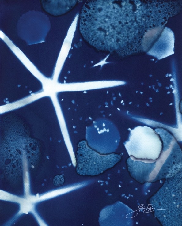 Affiche, --- Constellation (fond marin) ---, de l'artiste Sophie Rozenn Boucher, dimension : 10 x 8 pouces de largeur, affiche prête à être encadrée