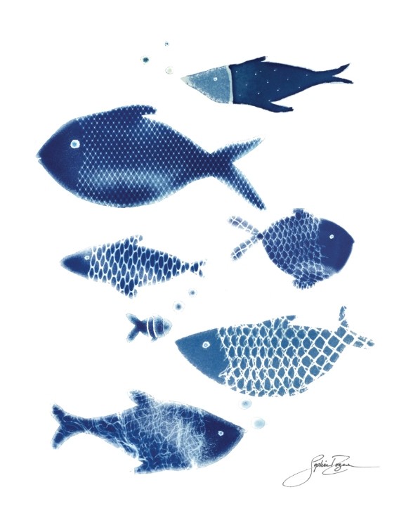 Affiche, --- Filet de poissons ---, de l'artiste Sophie Rozenn Boucher, dimension : 10 x 8 pouces de largeur, affiche prête à être encadrée