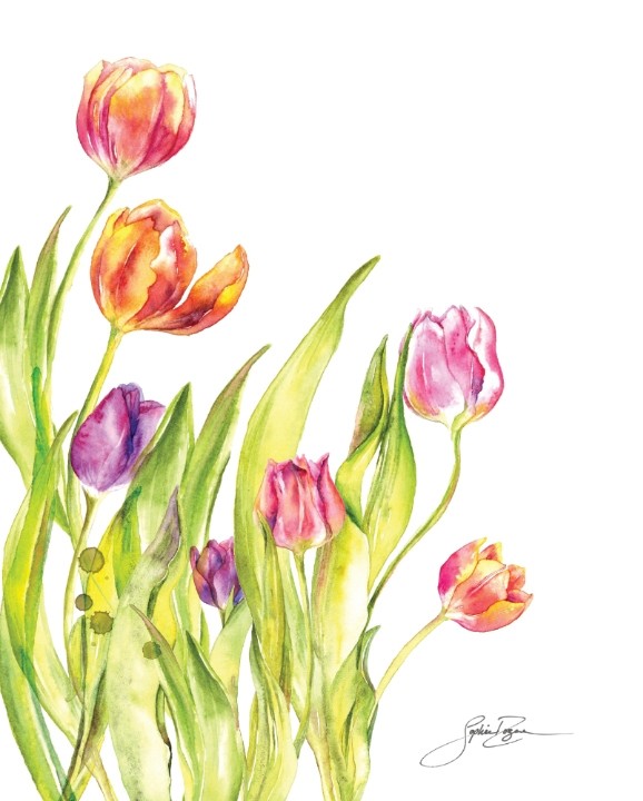 Affiche, --- Tulipes ---, de l'artiste Sophie Rozenn Boucher, dimension : 10 x 8 pouces de largeur, affiche prête à être encadrée