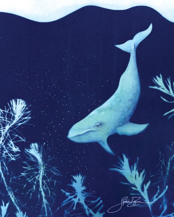 Affiche, --- Plongée sous-marine ---, de l'artiste Sophie Rozenn Boucher, dimension : 10 x 8 pouces de largeur, affiche prête à être encadrée