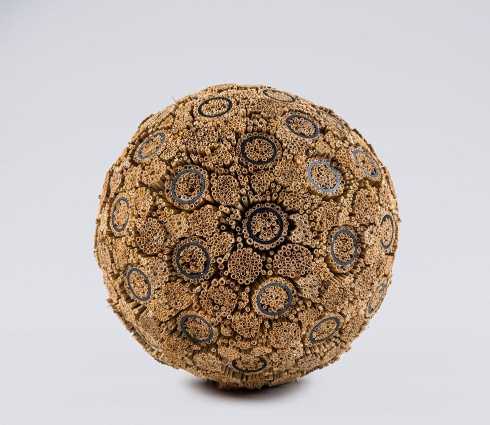 Ceci n'est pas un virus, de l'artiste Bernard Hamel, Sculpture, Phragmites tiges, polystyrène, dimension : environ 20 po de diamètre