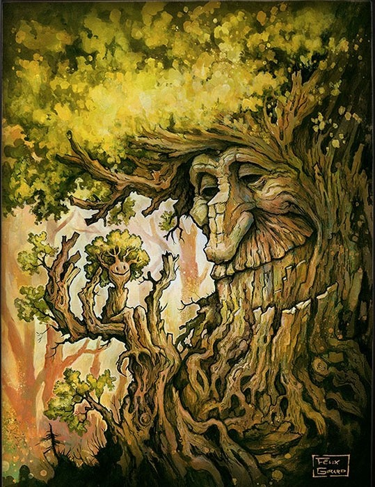 Jeune branche, de l'artiste Félix Girard, sur papier Epson « Enhanced Matte, impression avec de l’encre à pigment – qualité archive (ultra chrome), dimension : 18 x 14 pouces de largeur, affiche prête à être encadrée