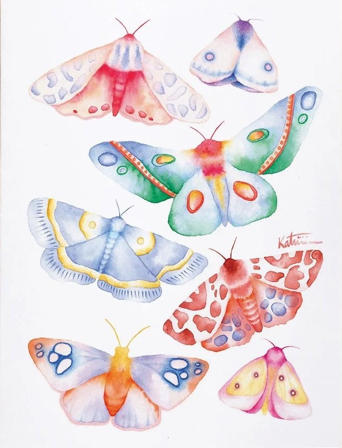 Carte de souhaits 5x4 po, -- Papillons colorés --, de l'artiste Katrinn Pelletier, dimension : 5.5 x 4.25 pouces largeur, sans texte, avec enveloppe  Vous pouvez inscrire votre message à l'intérieur.  Carte vendue à l'unité