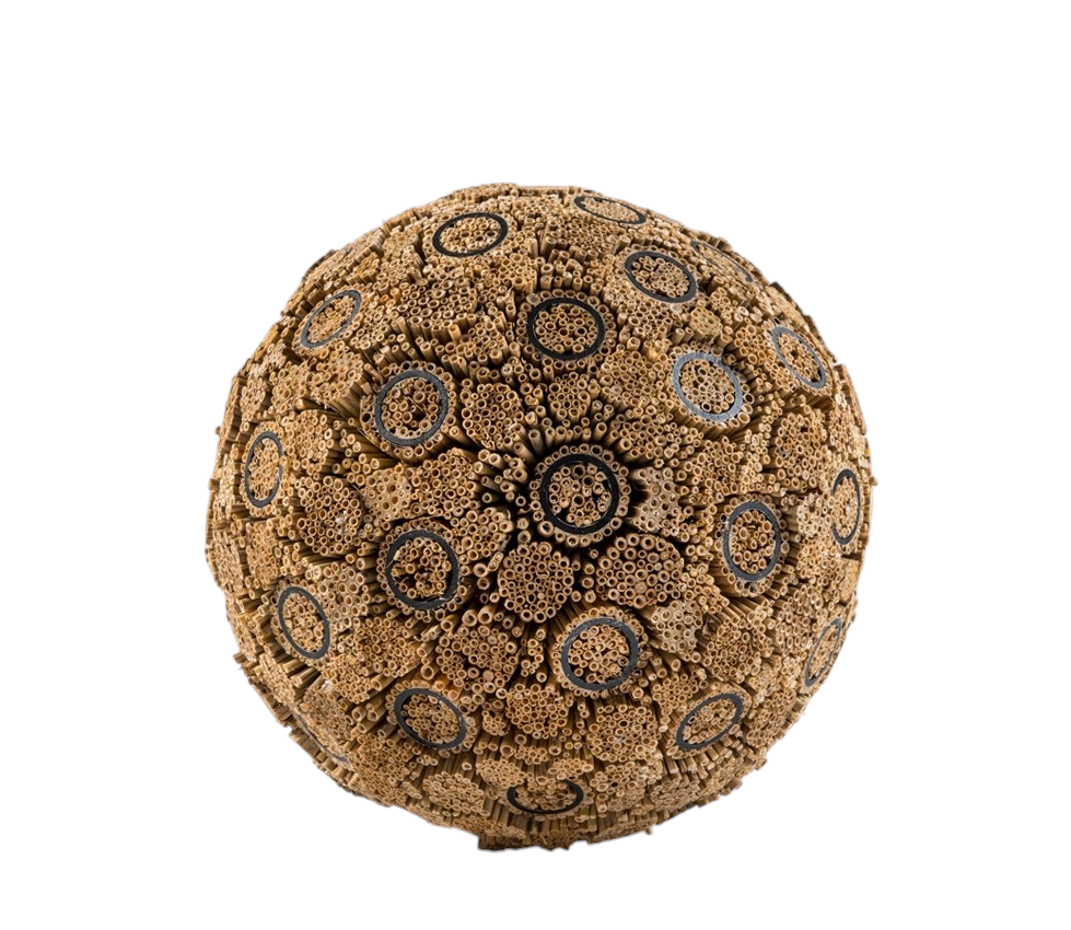 Ceci n'est pas un virus, de l'artiste Bernard Hamel, Sculpture, Phragmites tiges, polystyrène, dimension : environ 20 po de diamètre