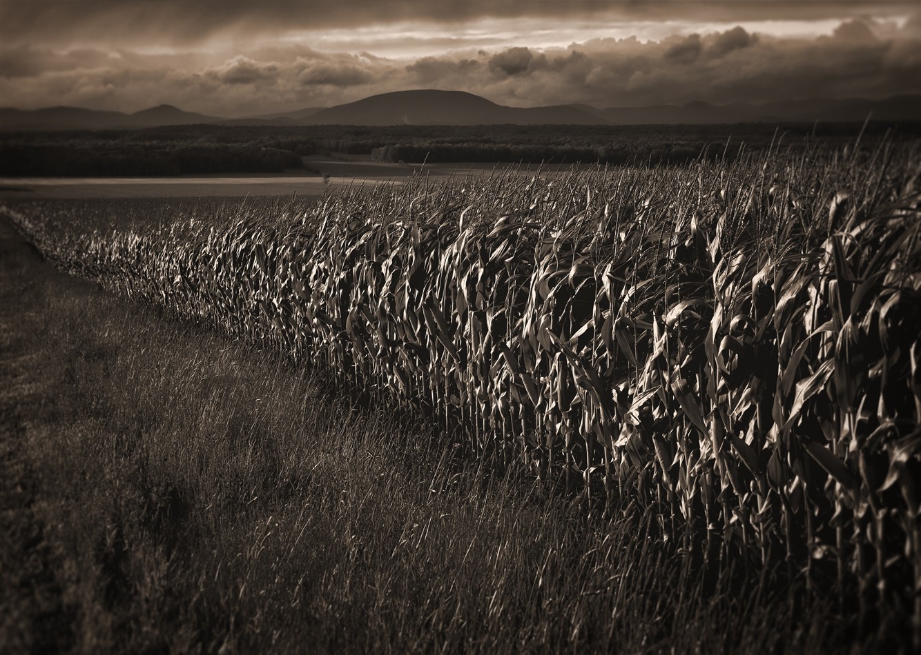 Déambulation, no 3, (p. encadrée), de l'artiste Ivan Binet, Photographie : Jet d'encre sur papier fibre, dimension : 20 x 27 po