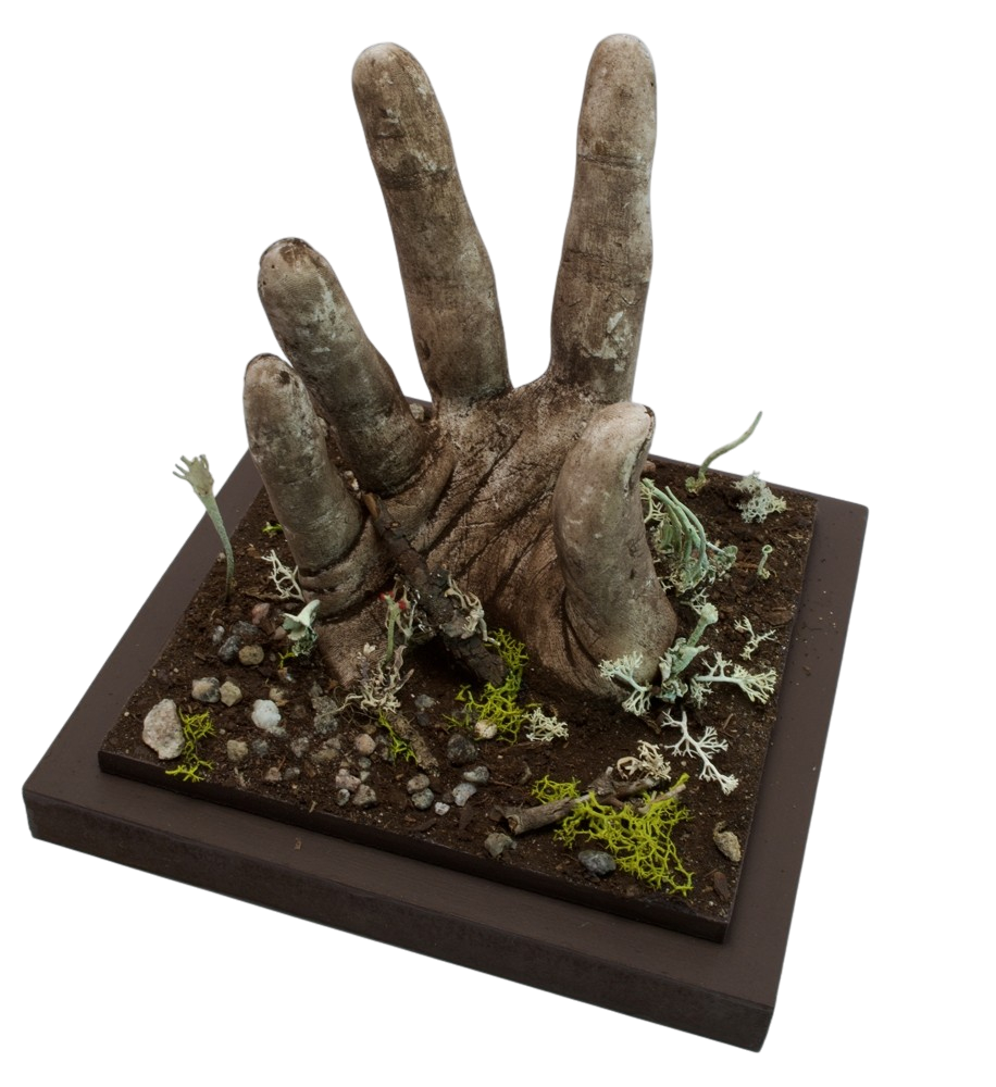 Désir d'un premier souffle, de l'artiste Raphaëlle Bitar, Sculpture, Plâtre, bois et végétaux divers, dimension : 7 x 6 x 6 pouces