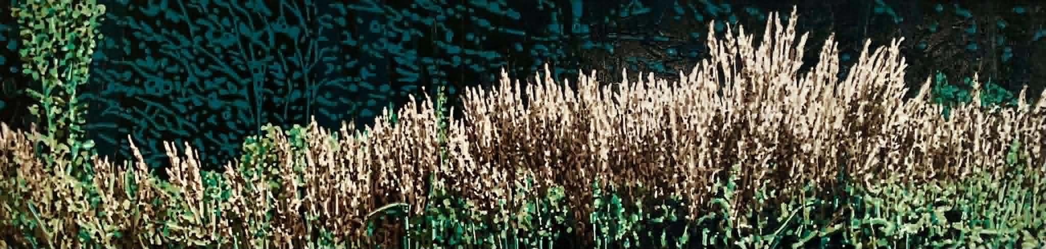 Jardins sauvages XLVI, de l'artiste Elyse Turbide, Acrylique sur toile, Dimension : 18 x 72 pouces de largeur