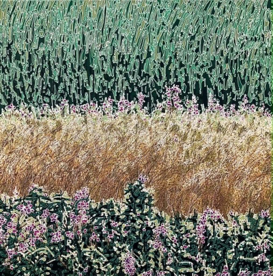 Jardins sauvages XXXVI, de l'artiste Elyse Turbide, Acrylique sur toile, Dimension : 36 x 36 pouces de largeur