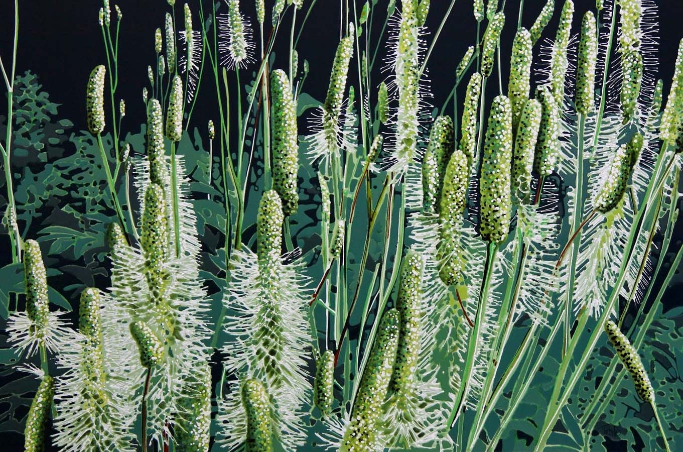 Jardins sauvages VI, de l'artiste Elyse Turbide, Acrylique sur toile, Dimension : 36 x 54 pouces de largeur