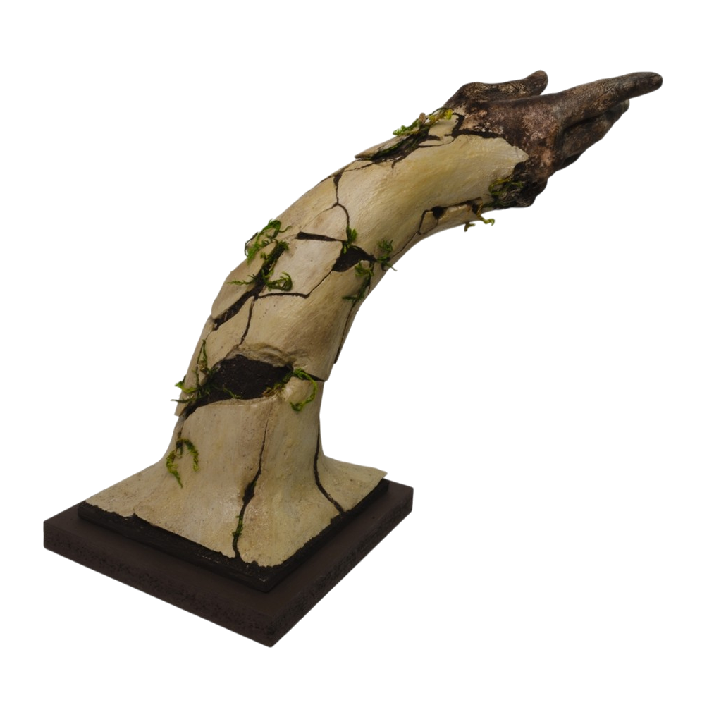 Émergence du vivant, 02, de l'artiste Raphaëlle Bitar, Sculpture, Plâtre, argile et bois, dimension : 12 x 6 x 6 pouces