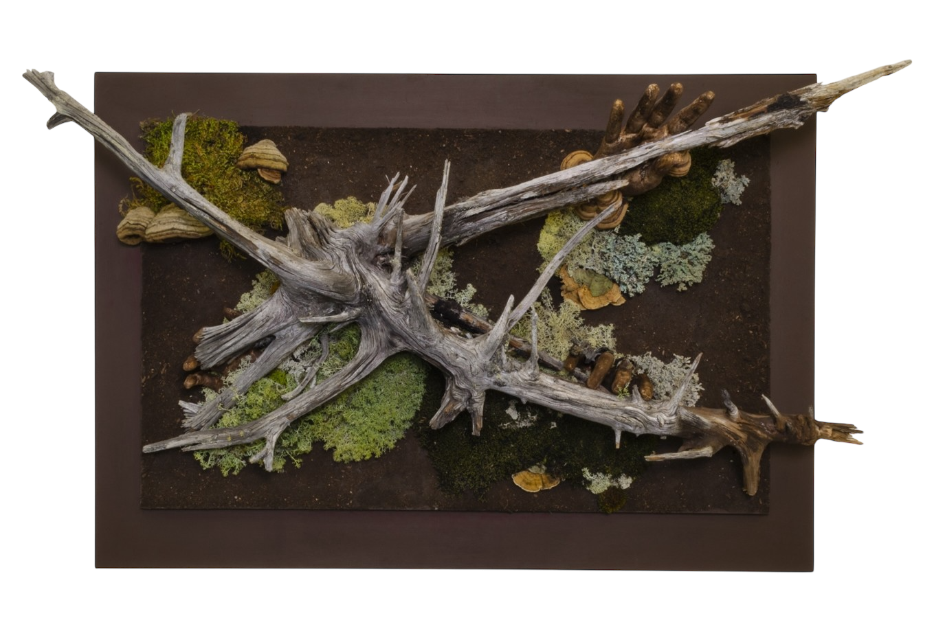 Entre les fibres du monde, de l'artiste Raphaëlle Bitar, Sculpture, Plâtre et végétaux divers, dimension : 35 x 24 x 6 pouces