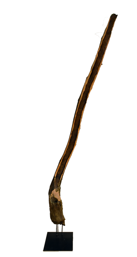 Épave, no 2, de l'artiste Bernard Hamel, Sculpture, bois, dimension : 6 pieds de hauteur