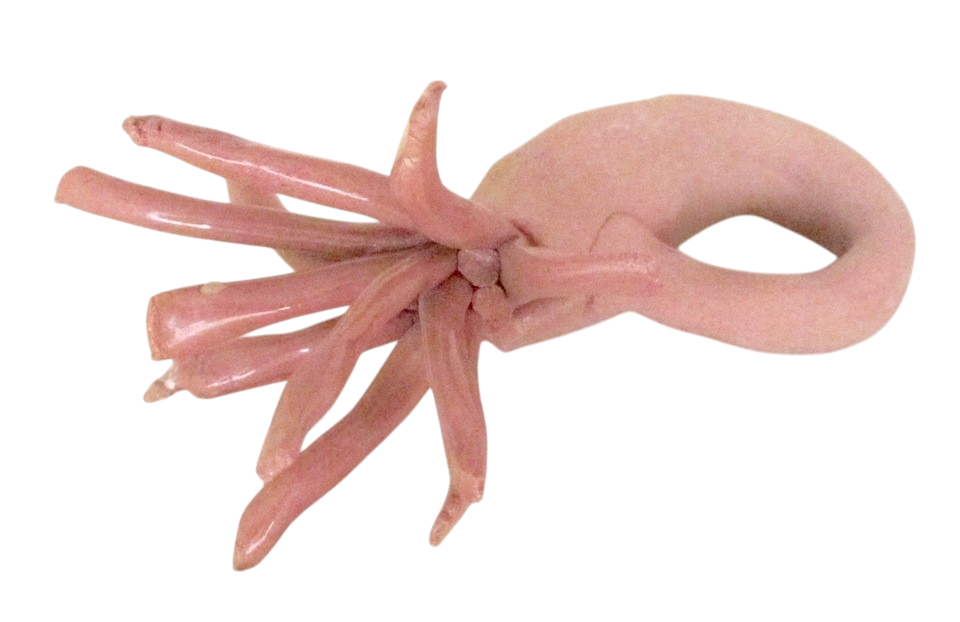 Fleur Anémone rose vendue séparément, de l'artiste Véronique Martel, dimension : 4 à 5 pouces de longueur, Peut être légèrement différente de la photo présentée, Faisait partie de l'ensemble 'L'épicier du coin ...', Faïence grès pigment émail, vue A