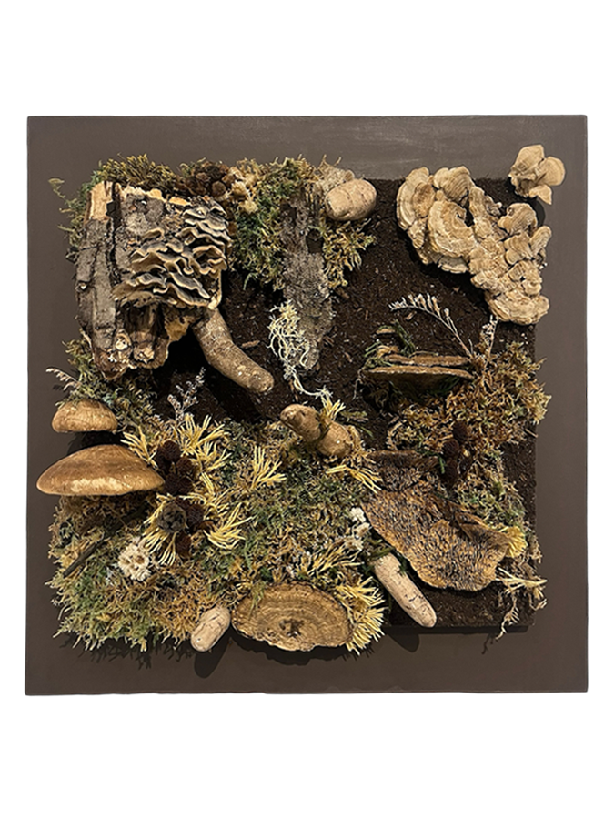 Fragment symbiotique, de l'artiste Raphaëlle Bitar, Sculpture, Plâtre, bois et végétaux divers, dimension : 11 x 11 x 3 pouces