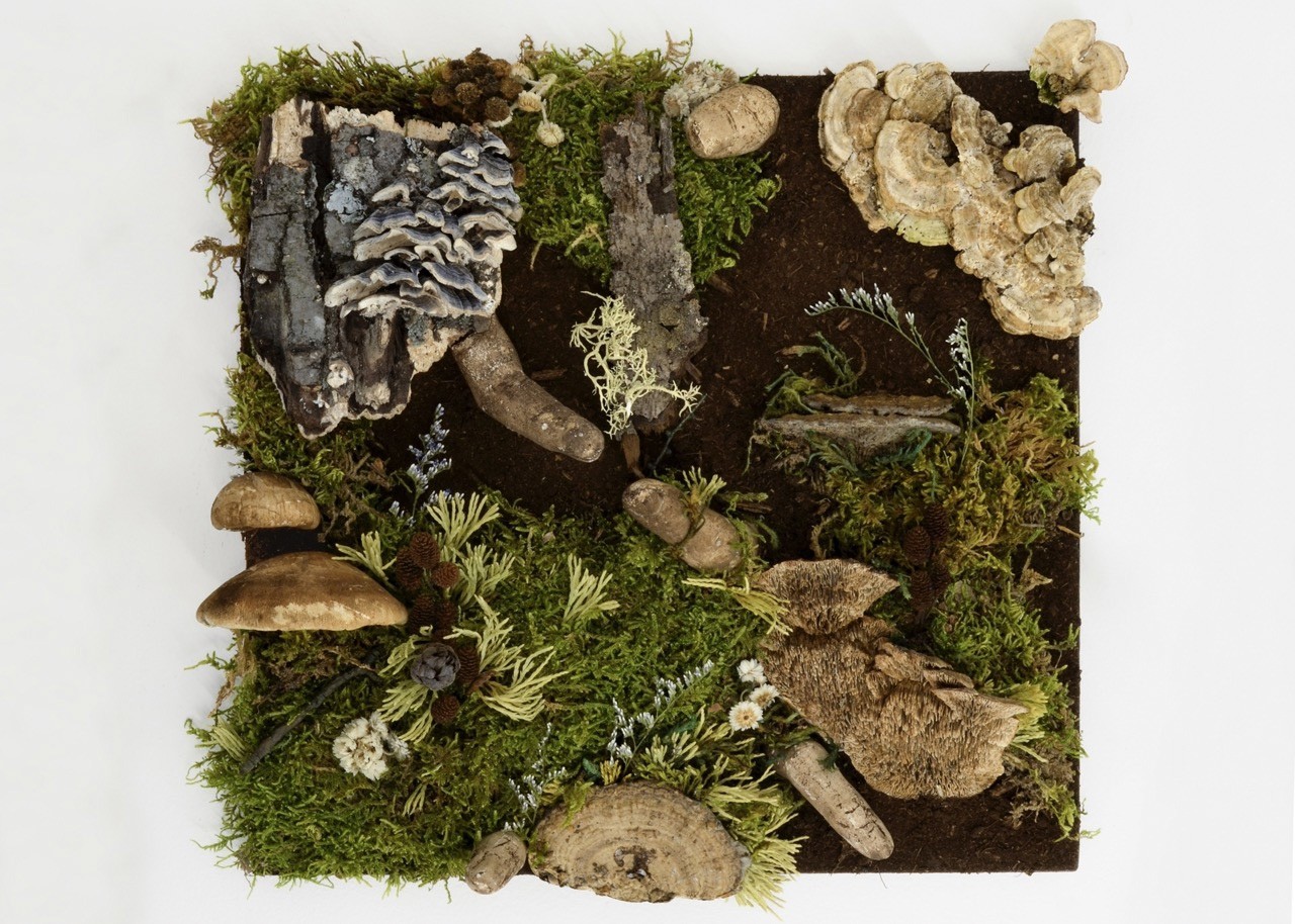 Fragment symbiotique, de l'artiste Raphaëlle Bitar, Sculpture, Plâtre, bois et végétaux divers, dimension : 11 x 11 x 3 pouces