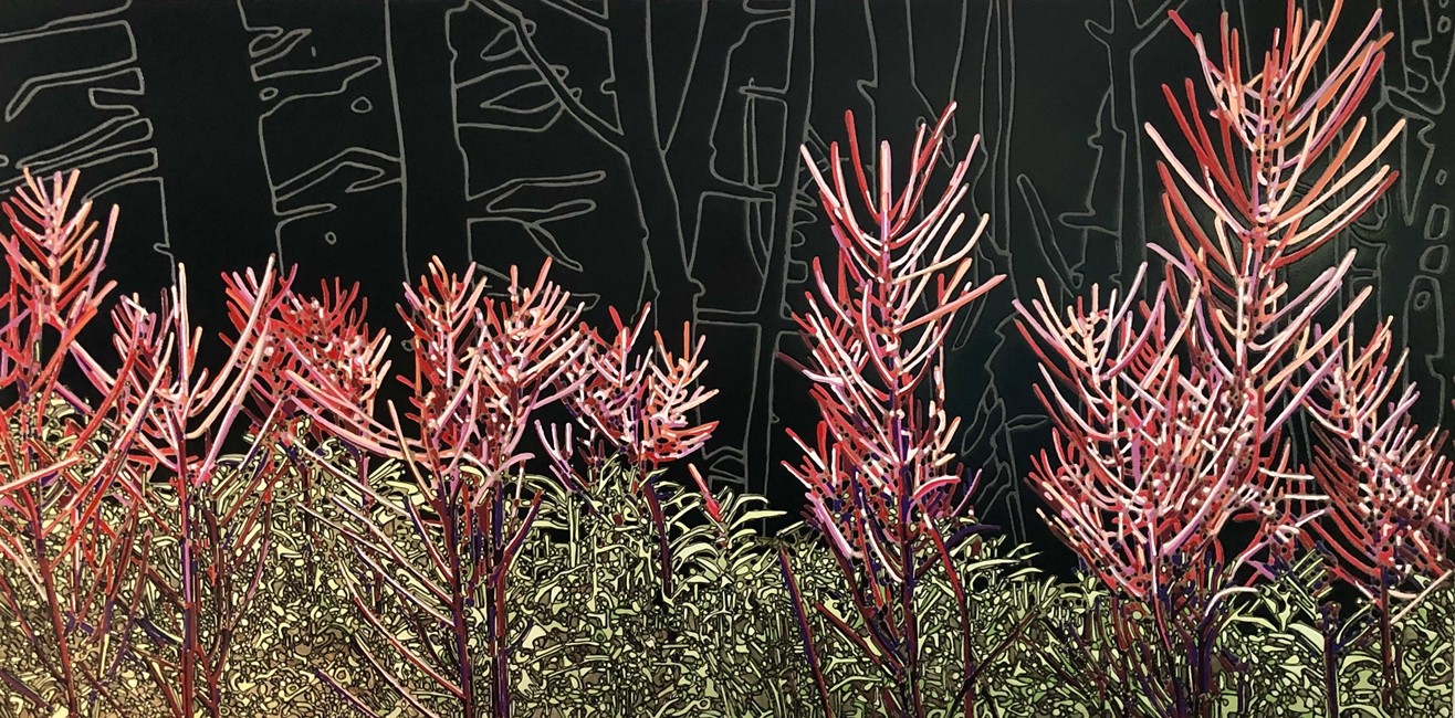Jardins sauvages L, de l'artiste Elyse Turbide, Acrylique sur toile, Dimension : 30 x 60 pouces de largeur