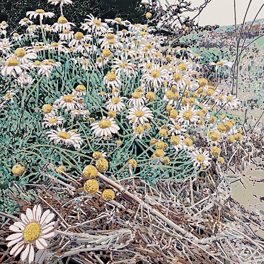 Jardins sauvages LXXXIV, de l'artiste Elyse Turbide, Acrylique sur toile, Dimension : 30 x 30 pouces de largeur