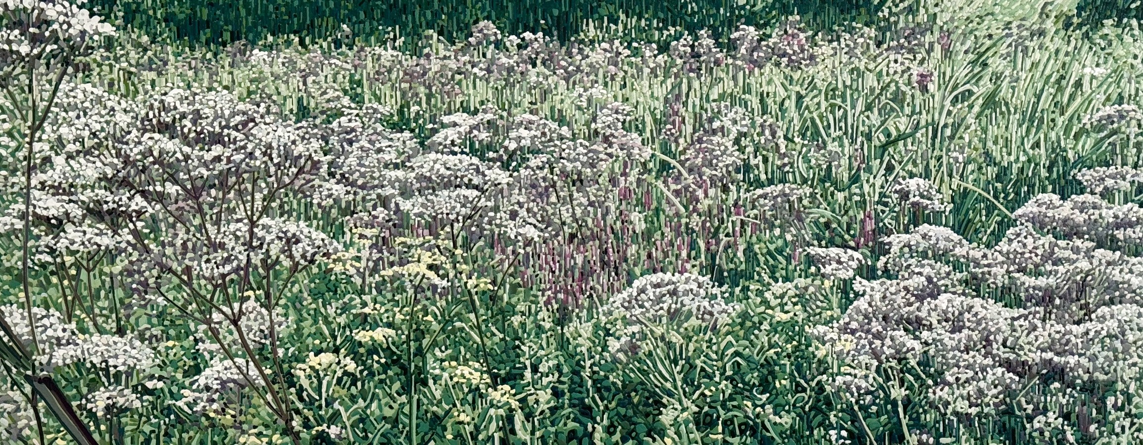 Jardins sauvages XCII, de l'artiste Elyse Turbide, Acrylique sur toile, Dimension : 24 x 60 pouces de largeur