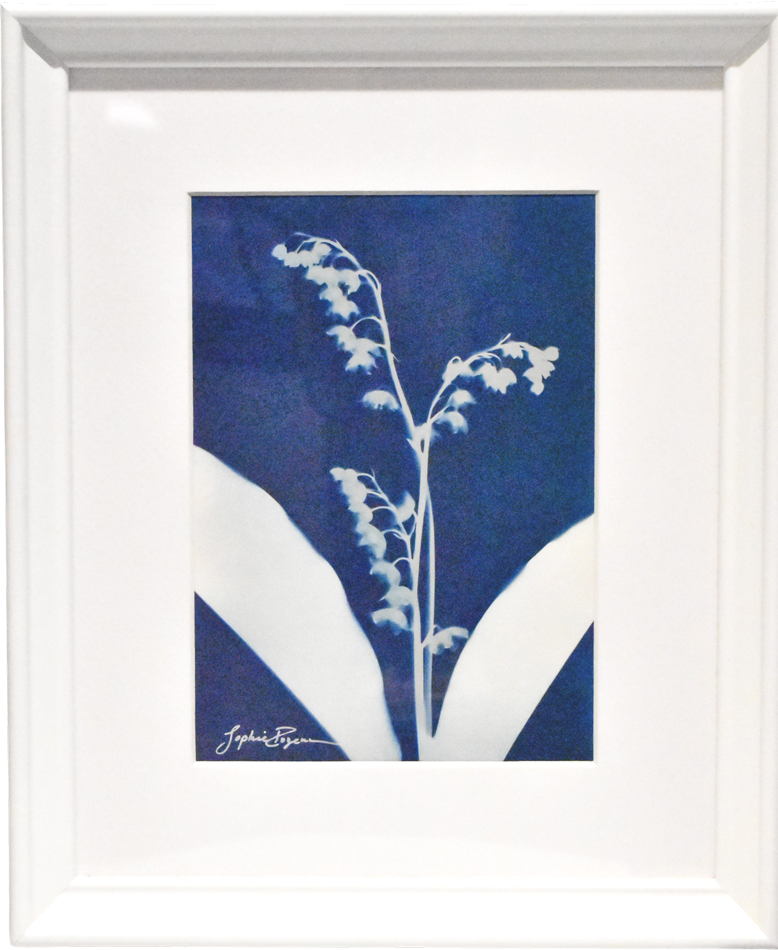 L'arrivée du printemps (Série Muguet) (t.encadré), de l'artiste Sophie Rozenn Boucher, Medium Cyanotype et aquarelle sur papier de coton, Cadre blanc, moulure et passe-partout, Création unique, Format de l'oeuvre : 7 x 5 pouces de largeur, vue encadrée