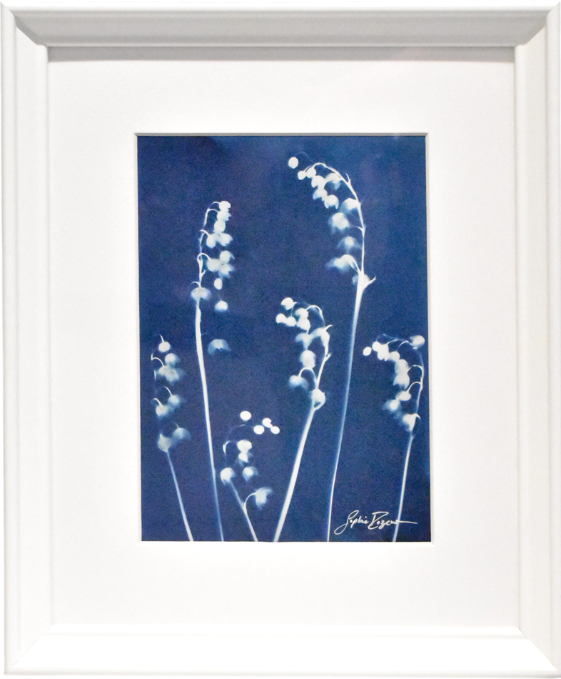 Les clochettes (Série Muguet) (t.encadré), de l'artiste Sophie Rozenn Boucher, Medium Cyanotype et aquarelle sur papier de coton, Cadre blanc, moulure et passe-partout, Création unique, Format de l'oeuvre : 7 x 5 pouces de largeur, vue encadrée