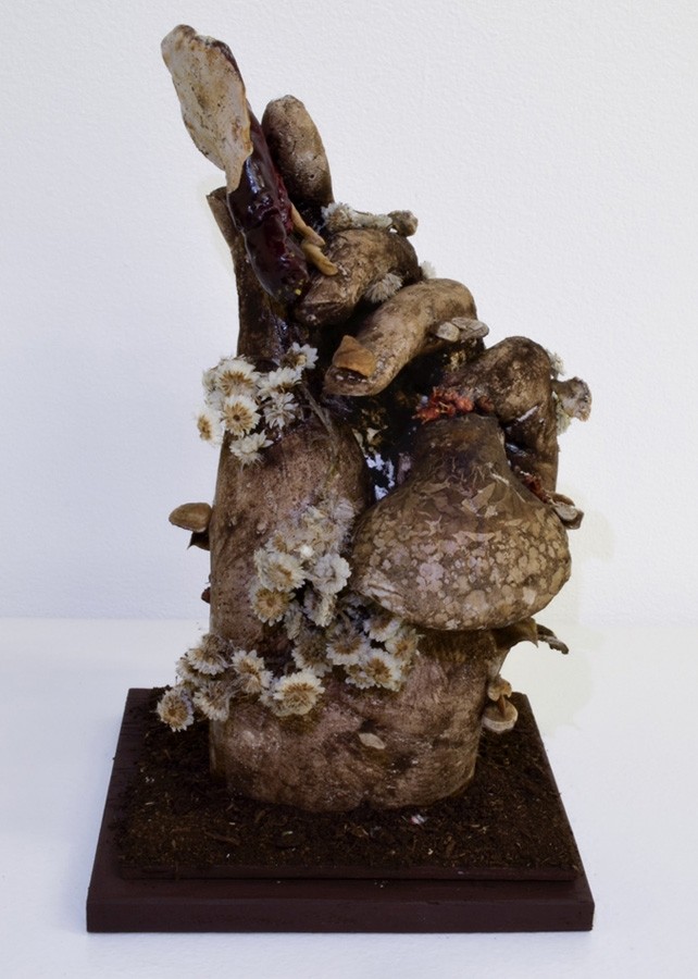 Main fongique, de l'artiste Raphaëlle Bitar, Sculpture, Plâtre et végétaux divers, dimension : 7 x 4.5 x 4 pouces