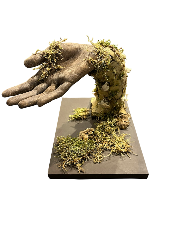 Offrande, de l'artiste Raphaëlle Bitar, Sculpture, Argile, Plâtre et végétaux divers, dimension : 11 x 10 x 8 pouces
