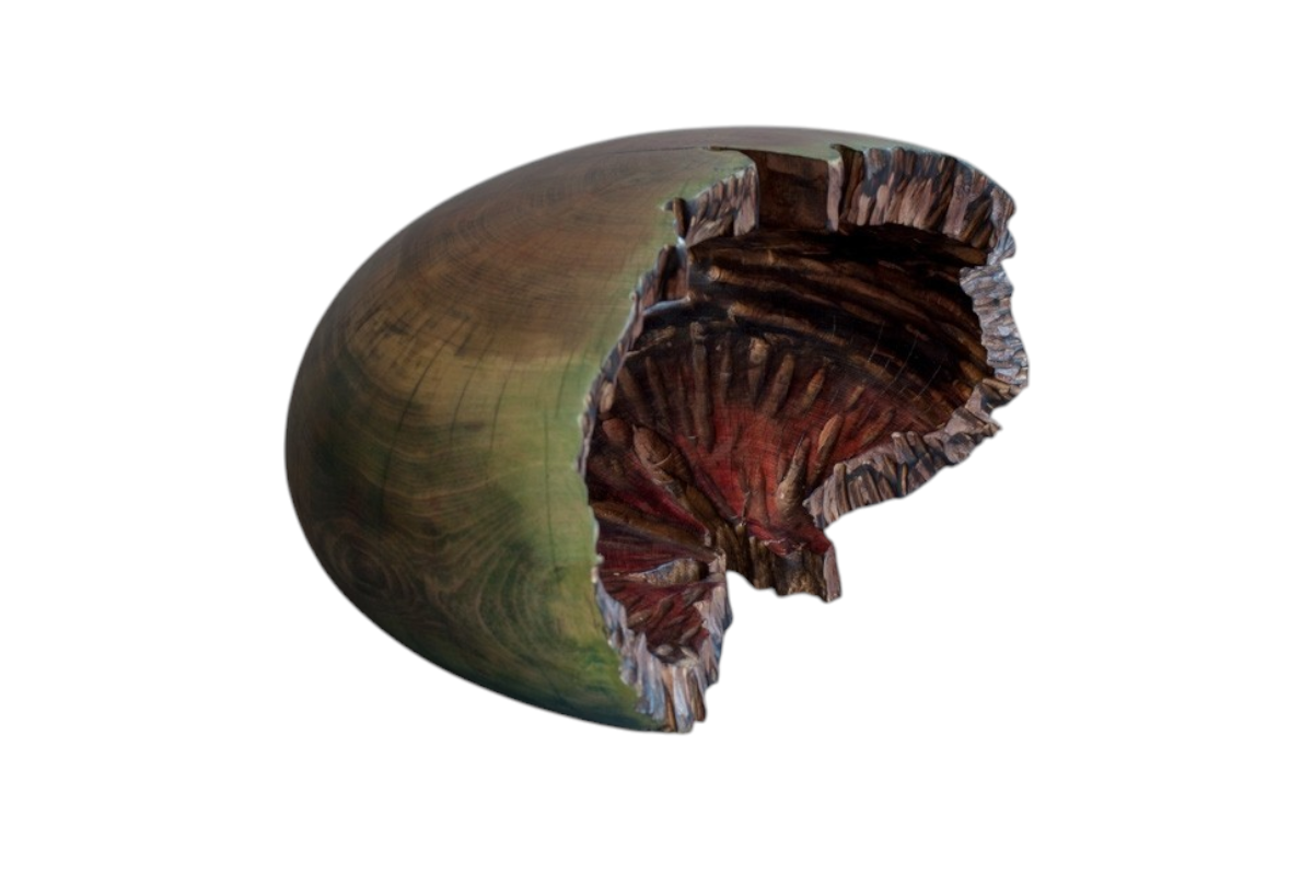 Oursin, de l'artiste Bernard Hamel, Sculpture, hêtre teinté, Création unique, dimension : 16 3/4 x 11 x 9 po