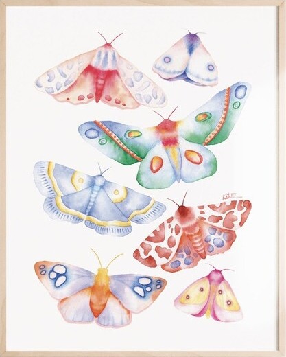 Affiche, -- Papillons colorés --, de l'artiste Katrinn Pelletier, Illustration, aquarelle, crayons de couleur, ..., dimension : 16 x 12 de largeur