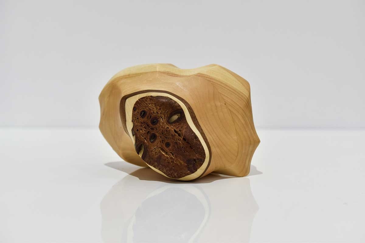 Roche (grosse), # 101, de l'artiste Claudia Côté, Sculpture, Bois mixte pin et noix de Banksia, Création unique