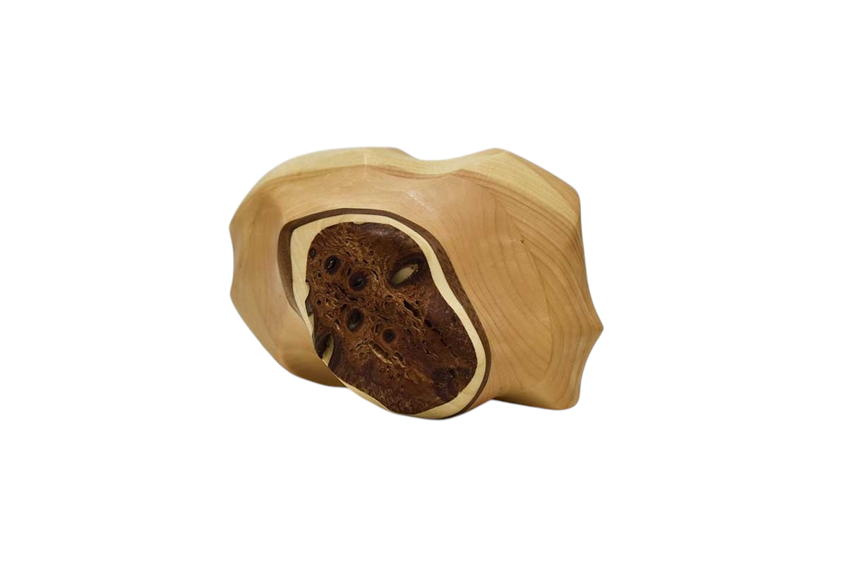 Roche (grosse), # 101, de l'artiste Claudia Côté, Sculpture, Bois mixte pin et noix de Banksia, Création unique