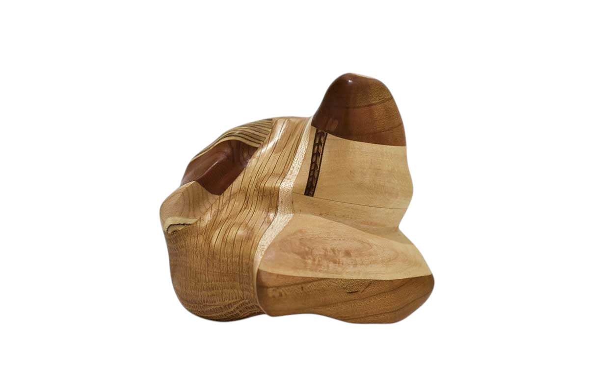 Roche (grosse), # 104, de l'artiste Claudia Côté, Sculpture, Bois mixte pin et noix de Banksia, Création unique