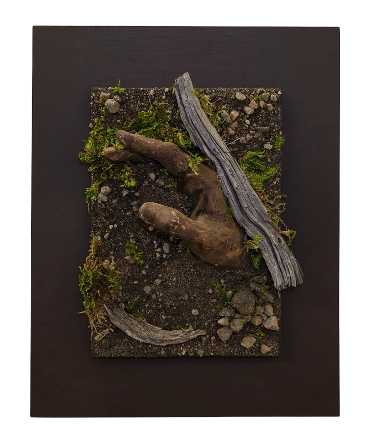 Sous la peau du vivant, de l'artiste Raphaëlle Bitar, Sculpture, Plâtre et végétaux divers, dimension : 14 x 11 pouces