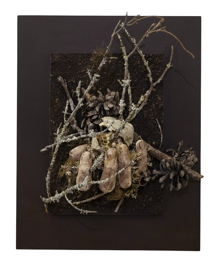 Vestige du vivant, de l'artiste Raphaëlle Bitar, Sculpture, Plâtre et végétaux divers, dimension : 14 x 11 pouces