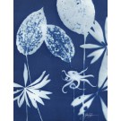 Le sanctuaire de la pieuvre, de l'artiste Sophie Rozenn Boucher, Medium Cyanotype et aquarelle sur papier de coton, marouflé sur bois, Création unique, Format de l'oeuvre : 14 x 11 pouces de largeur