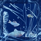 Cadre océanique, de l'artiste Sophie Rozenn Boucher, Medium Cyanotype et aquarelle sur papier de coton, marouflé sur bois, Création unique, Format de l'oeuvre : 10 x 10 pouces de largeur