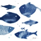 Carte de souhaits 5x5, -- Filet de poisson --, de l'artiste Sophie Rozenn Boucher, dimension : 5 x 5 pouces largeur, sans texte, avec enveloppe  Vous pouvez inscrire votre message à l'intérieur.  Carte vendue à l'unité